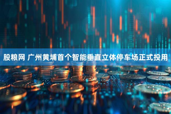 股粮网 广州黄埔首个智能垂直立体停车场正式投用